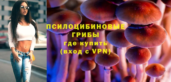 ALPHA-PVP Армянск