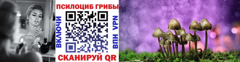 Купить закладки Нижние Серги Псилоцибиновые грибы мухоморы